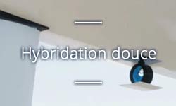 Solutions d'hybridation douce pour bateau